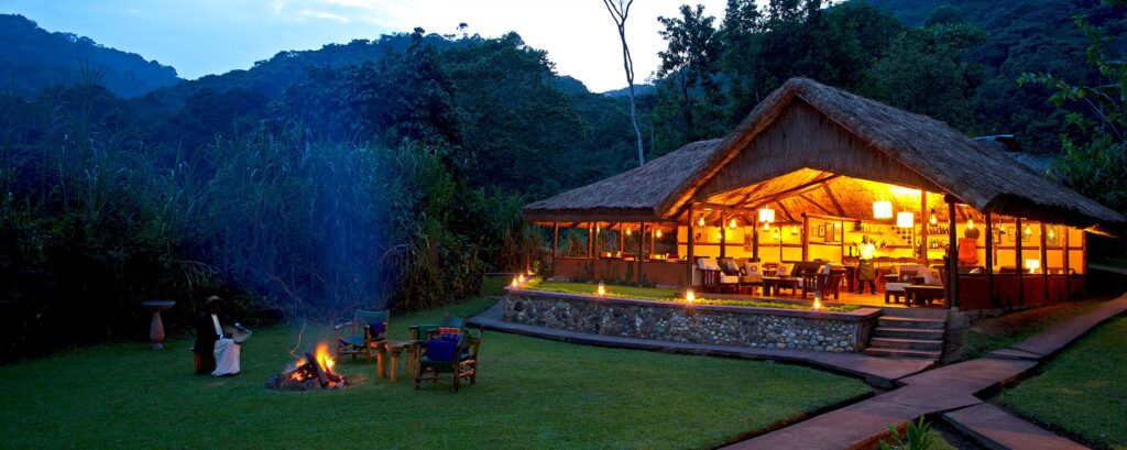 Best Lodges Near Bwindi National Park