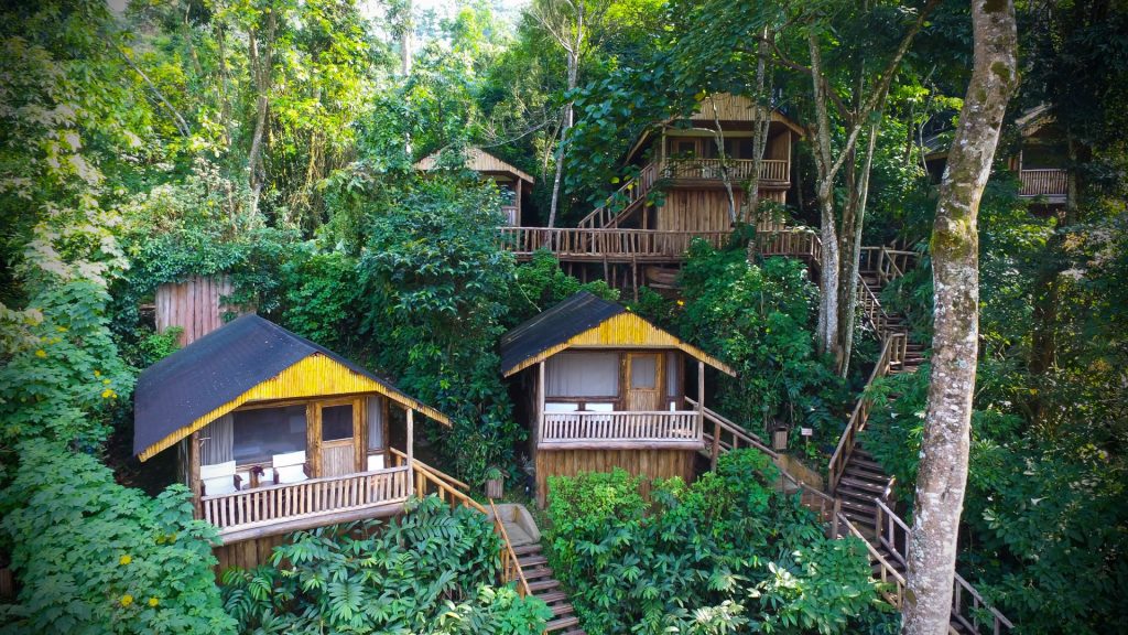 Best Lodges In Buhoma Sector in Bwindi