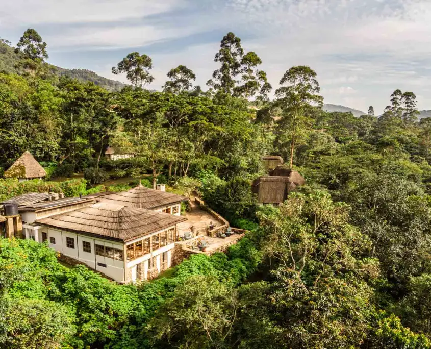 Bwindi Jungle Lodge