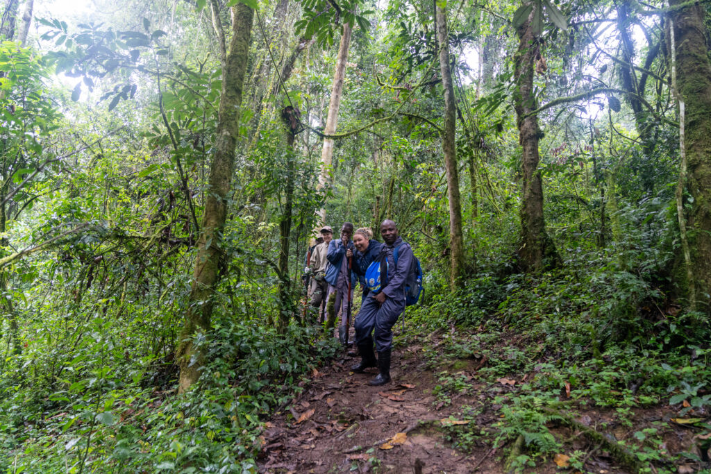 How Long Are Hiking Trails In Bwindi