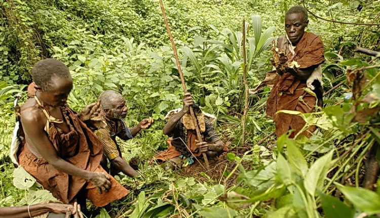batwa cultural tour