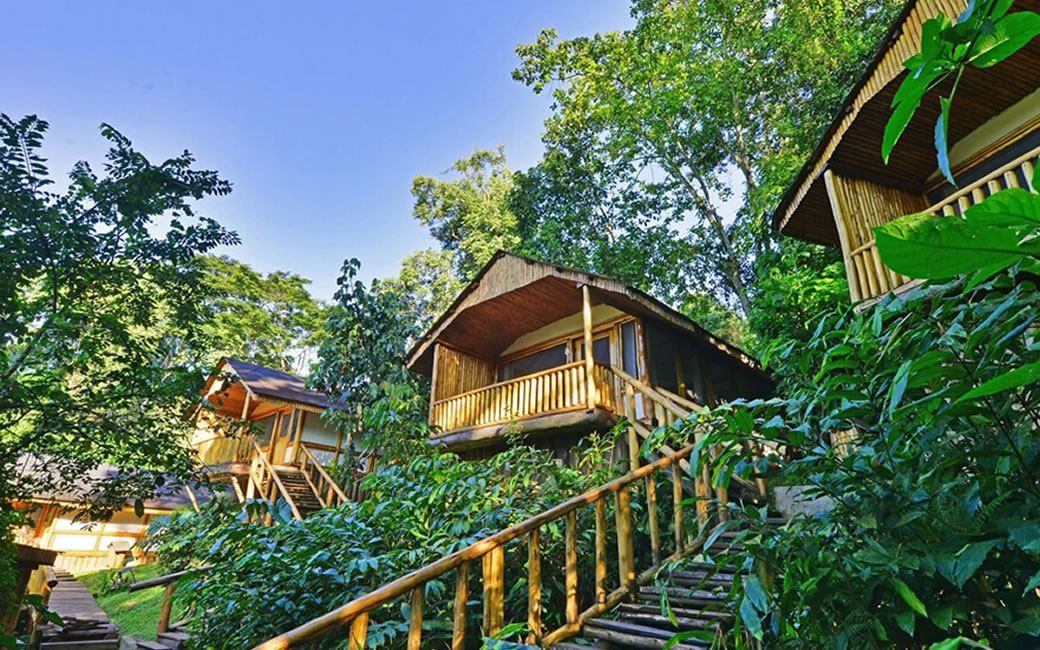 Luxury Lodges in Bwindi Impenetrable National Park