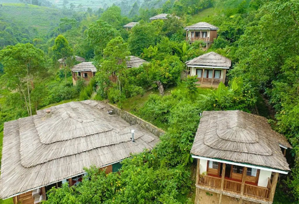 Four Gorillas Lodge