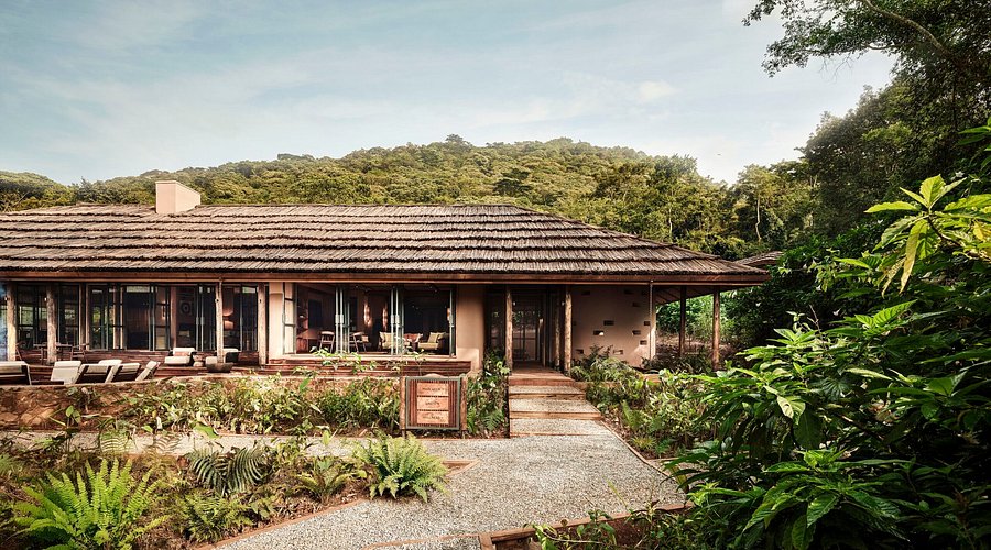 Gorilla safari lodge