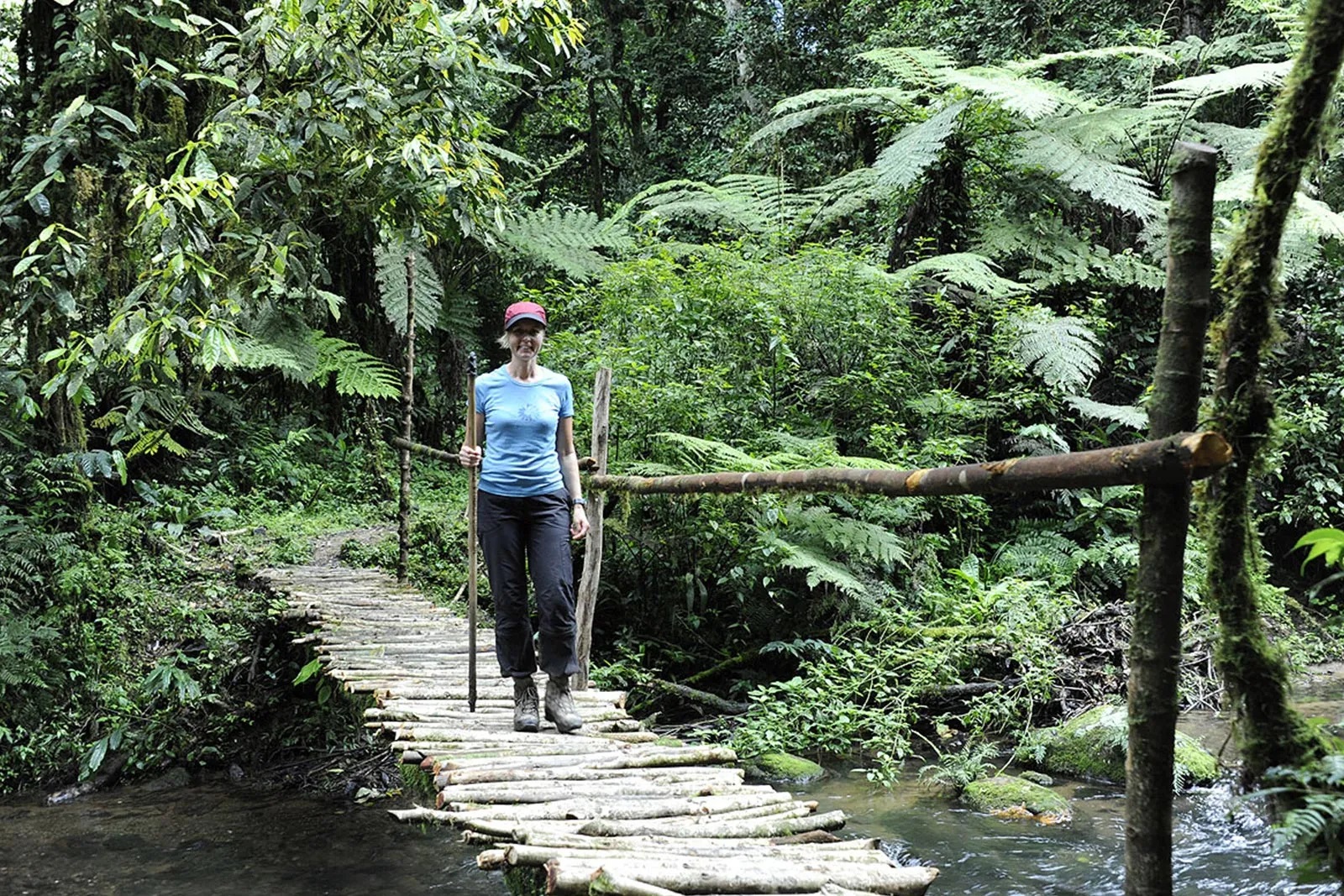 Kashasha River trail hike