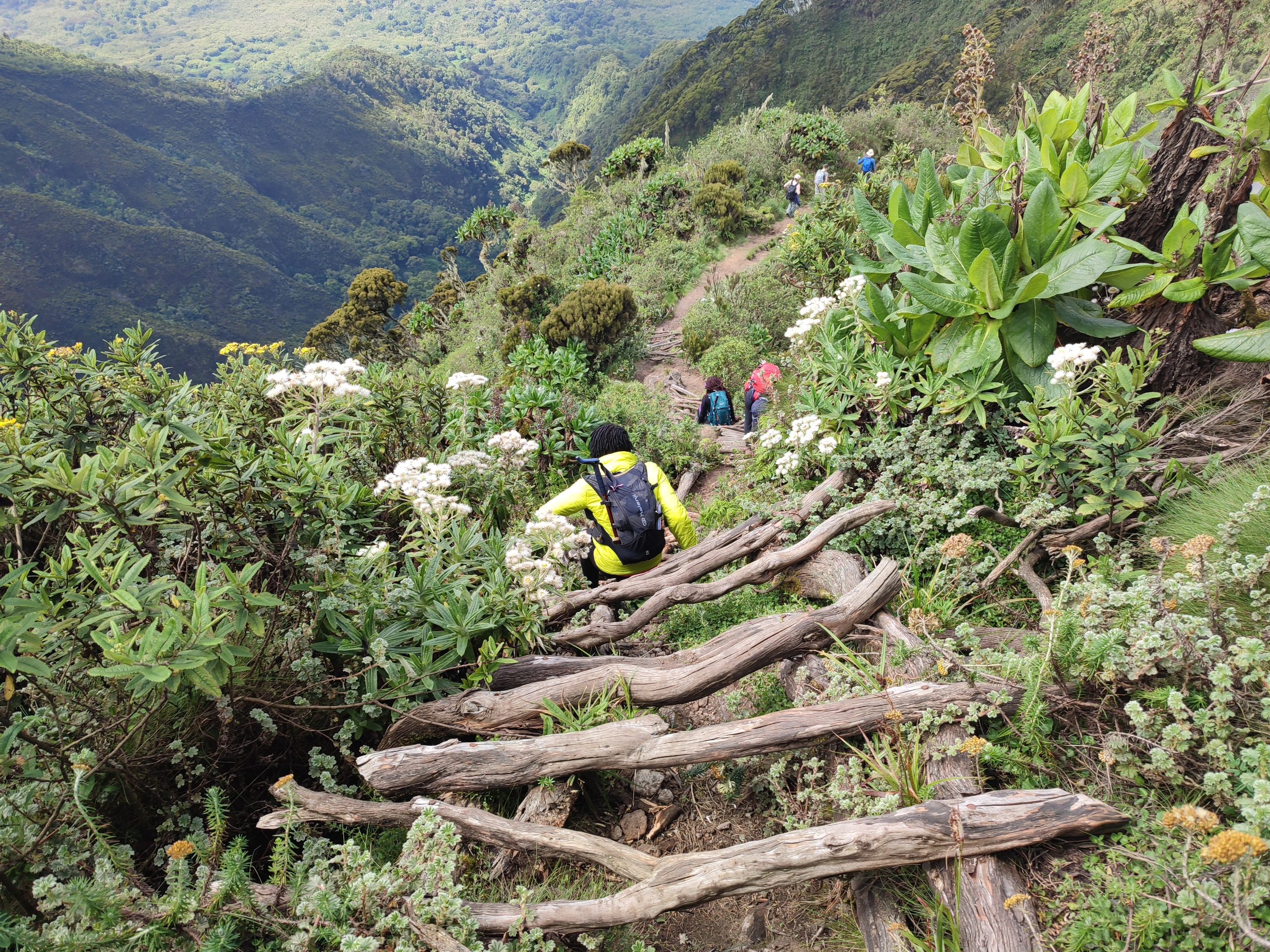 hiking Mt Sabyinyo