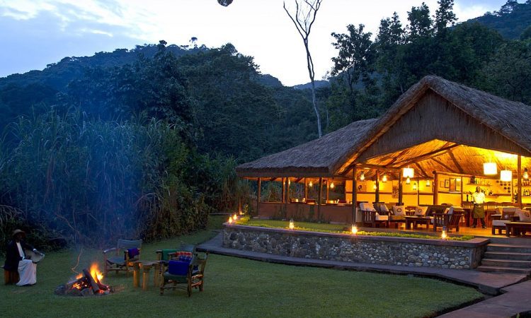Camping and Backpacking options near Bwindi