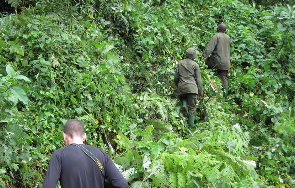 Sustainable tourism in Bwindi National Park