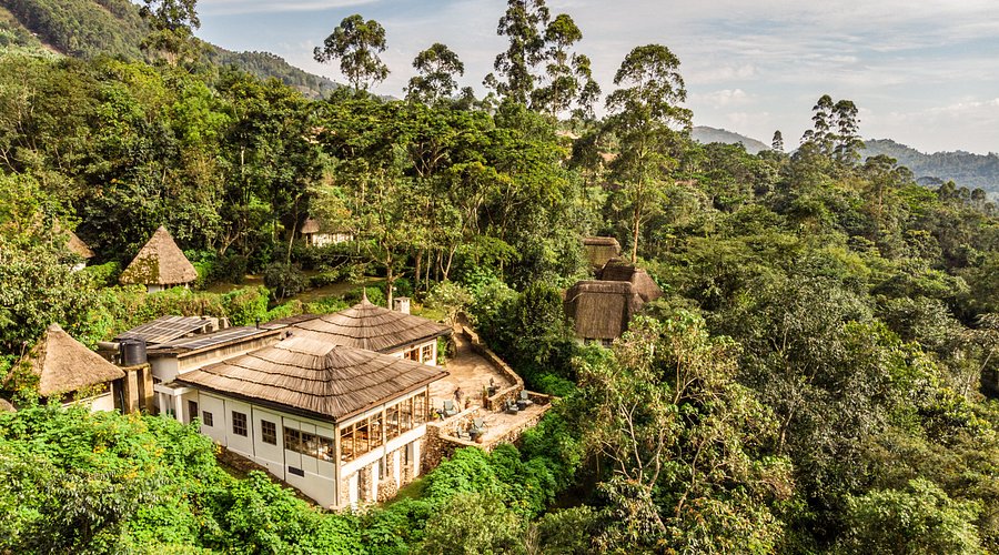 Bwindi Lodge