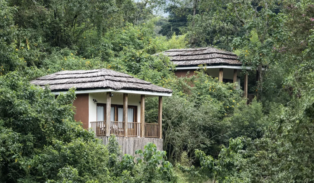 Best lodges in Rushaga Sector in Bwindi