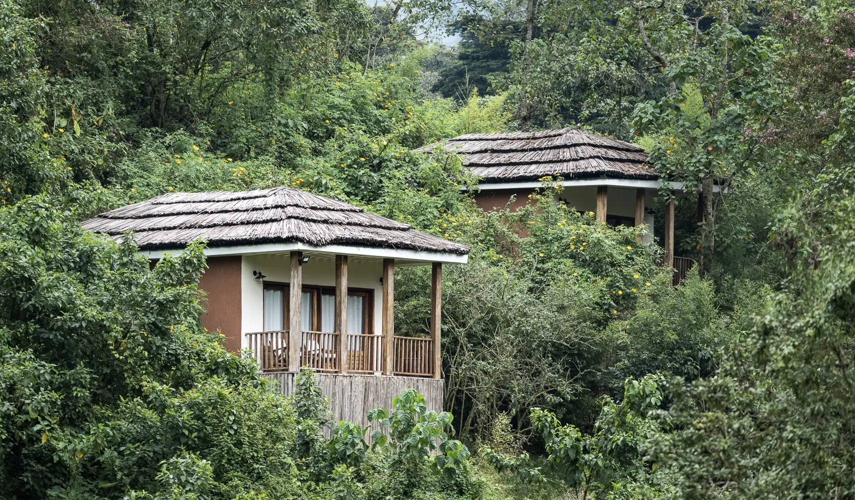 Best lodges in Rushaga Sector in Bwindi