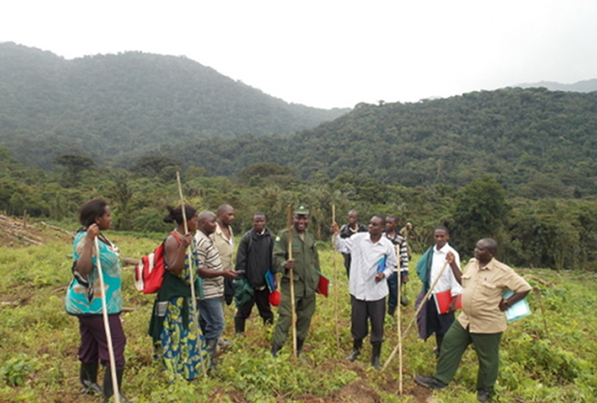 nkuringo-buffer-zone