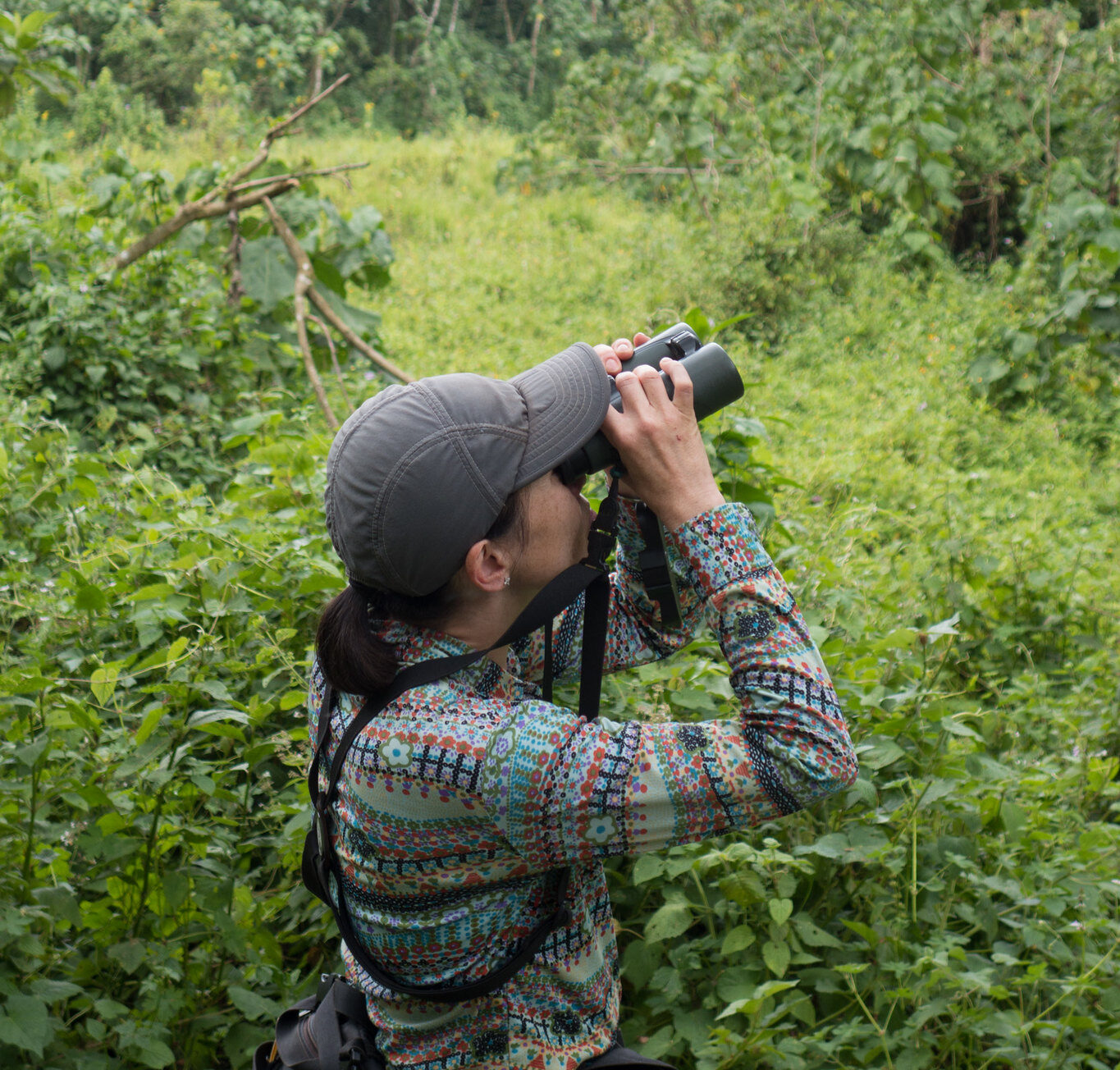 Bwindi Activities Beyond Gorilla Trekking