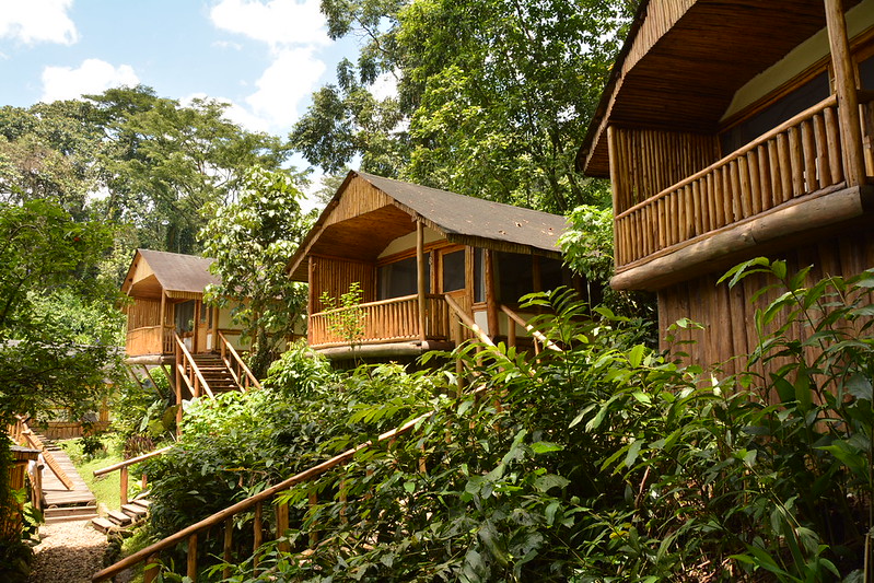 Buhoma Lodge