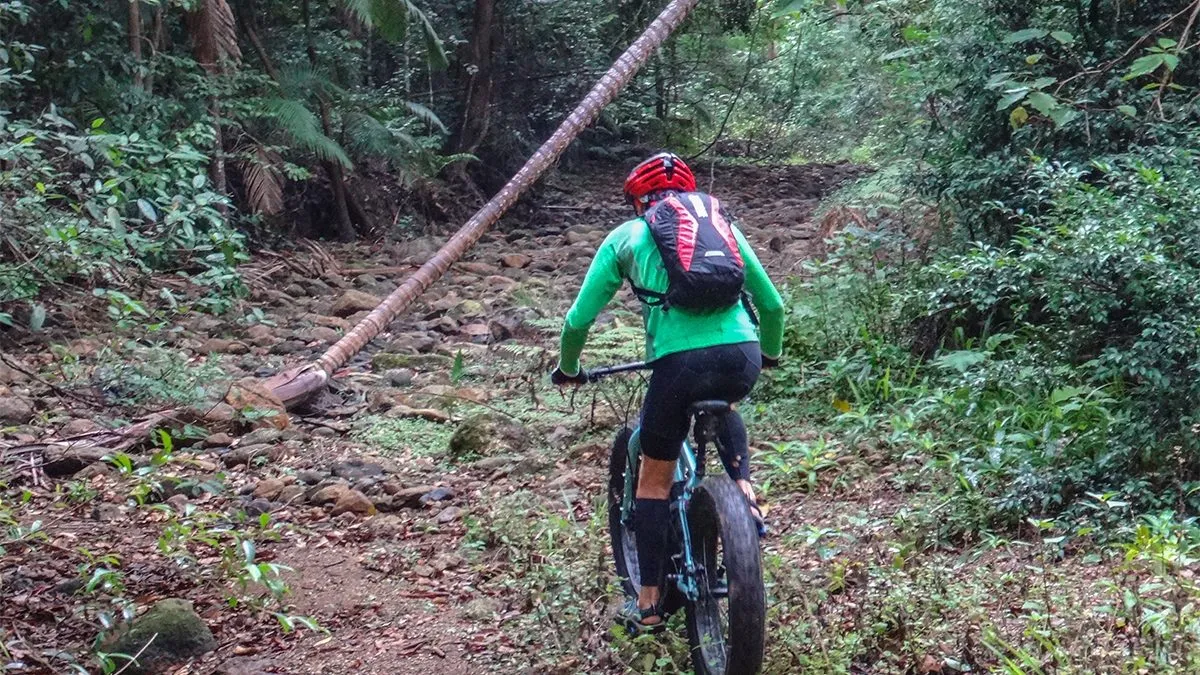 Cycling through Bwindi Impenetrable National Park