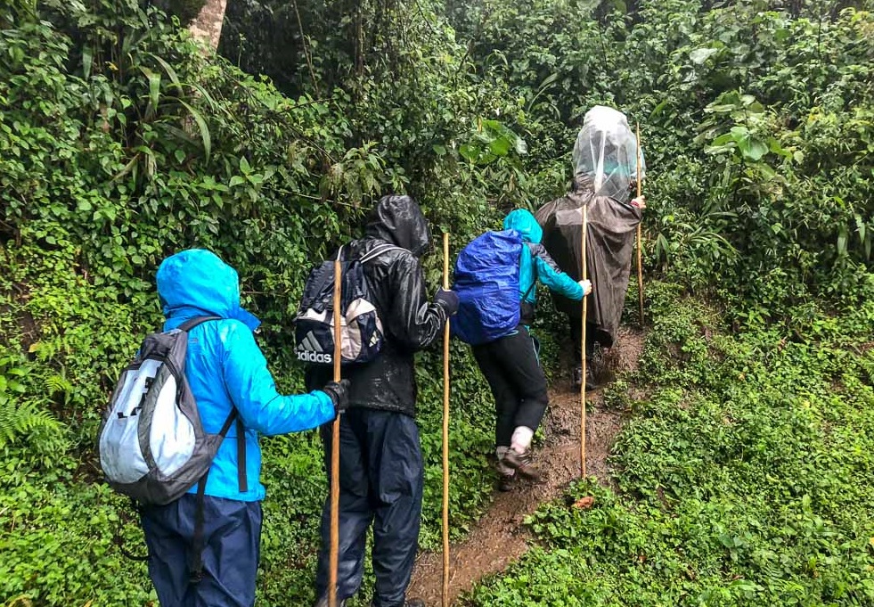 Fitness tips for hiking in Bwindi