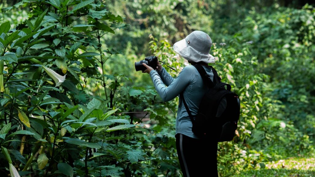 Bwindi photography spots for wildlife lovers