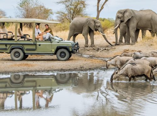 1-lake-manyara-national-park-tanzania-timbuktu-travel-16