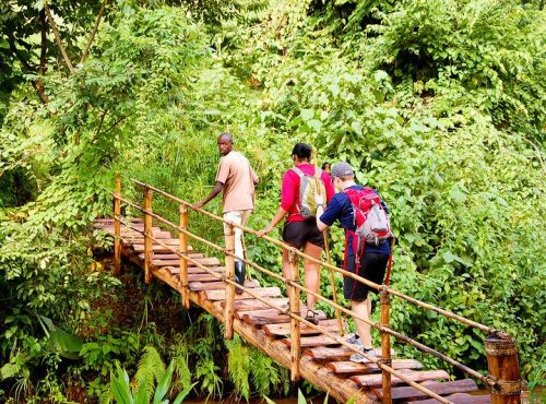 Best-Hiking-Trails-in-Uganda.jpg
