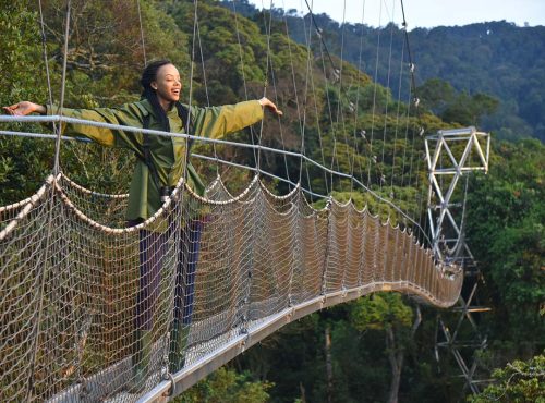 3 days Nyungwe Chimps, Canopy Walk and Hiking Tour