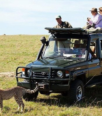 e61f436045a42060f1e984224e57c604