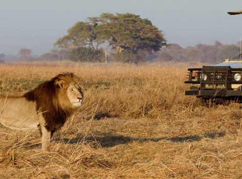 kenya-safari-cost-banner